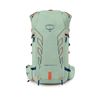Osprey Talon Velocity 20 Frosty Mint - Heren - S/M (torsolengte 43-51 cm) Osprey Talon Velocity 20 Frosty Mint - Heren - S/M (torsolengte 43-51 cm)