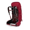 Osprey Talon 36 Cosmic Red Small-Medium lichtgewicht rugzak Osprey Talon 36 Cosmic Red Small-Medium lichtgewicht rugzak